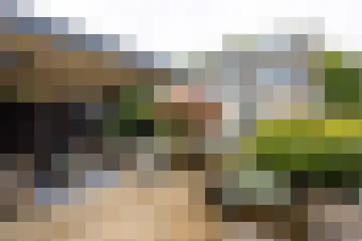 Johan Frisostraat 8 Vroomshoop thumbnail 37