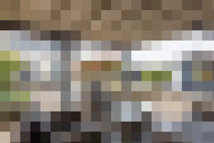 Johan Frisostraat 8 Vroomshoop thumbnail 38