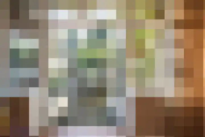 Johan Frisostraat 8 Vroomshoop thumbnail 39