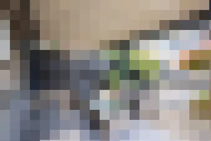 Johan Frisostraat 8 Vroomshoop thumbnail 39