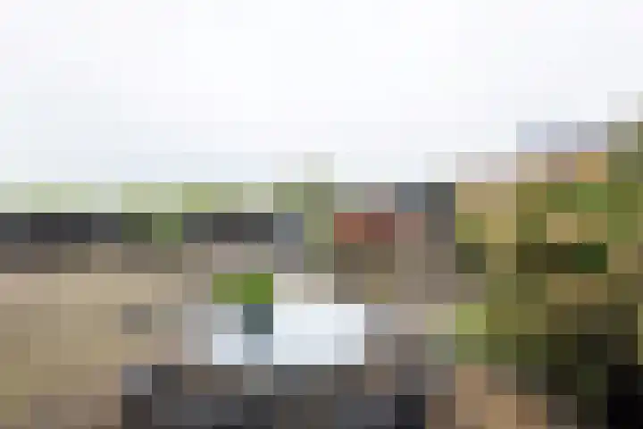 Johan Frisostraat 8 Vroomshoop thumbnail 41