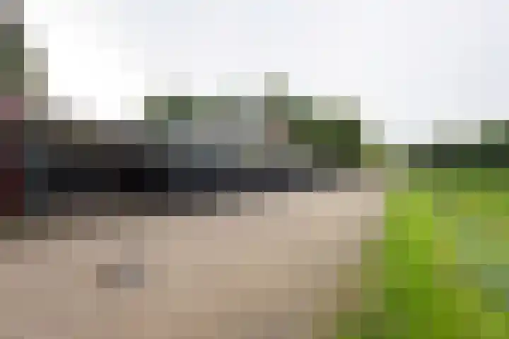 Johan Frisostraat 8 Vroomshoop thumbnail 42