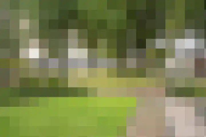 Johan Frisostraat 8 Vroomshoop thumbnail 44