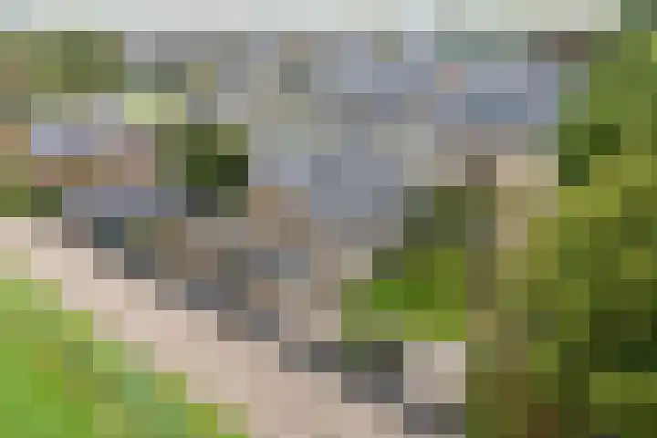 Johan Frisostraat 8 Vroomshoop thumbnail 45