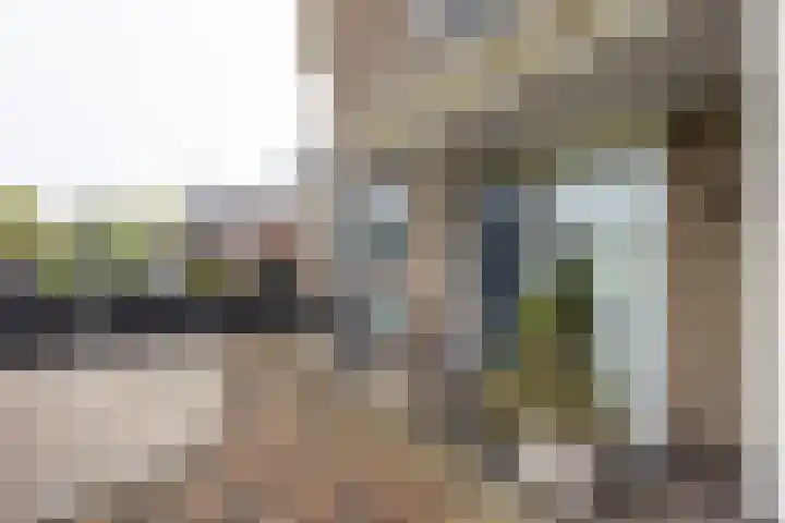Johan Frisostraat 8 Vroomshoop thumbnail 46