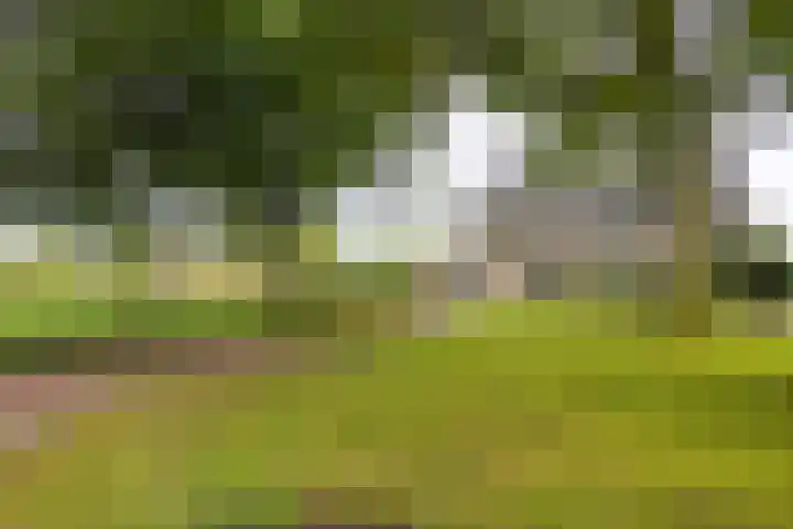 Johan Frisostraat 8 Vroomshoop thumbnail 5