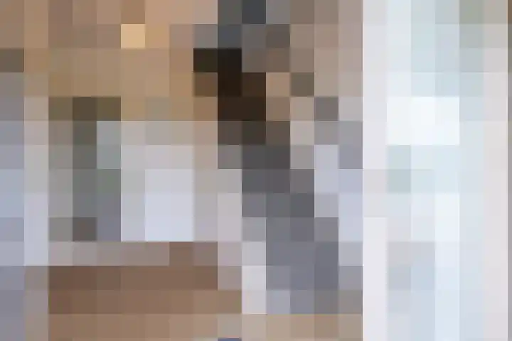Johan Frisostraat 8 Vroomshoop thumbnail 6