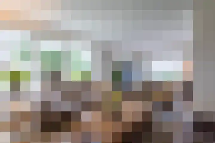 Johan Frisostraat 8 Vroomshoop thumbnail 8