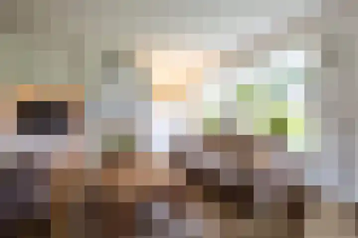 Johan Frisostraat 8 Vroomshoop thumbnail 9