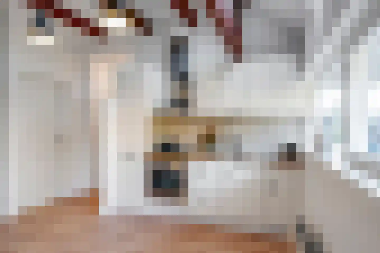 Johan Gramstraat 46 A Den Haag thumbnail 12