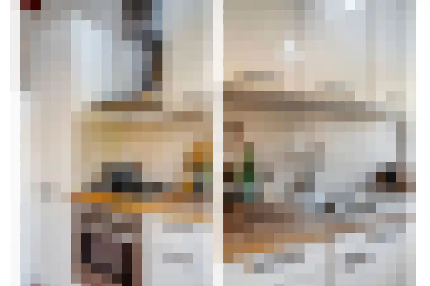 Johan Gramstraat 46 A Den Haag thumbnail 13