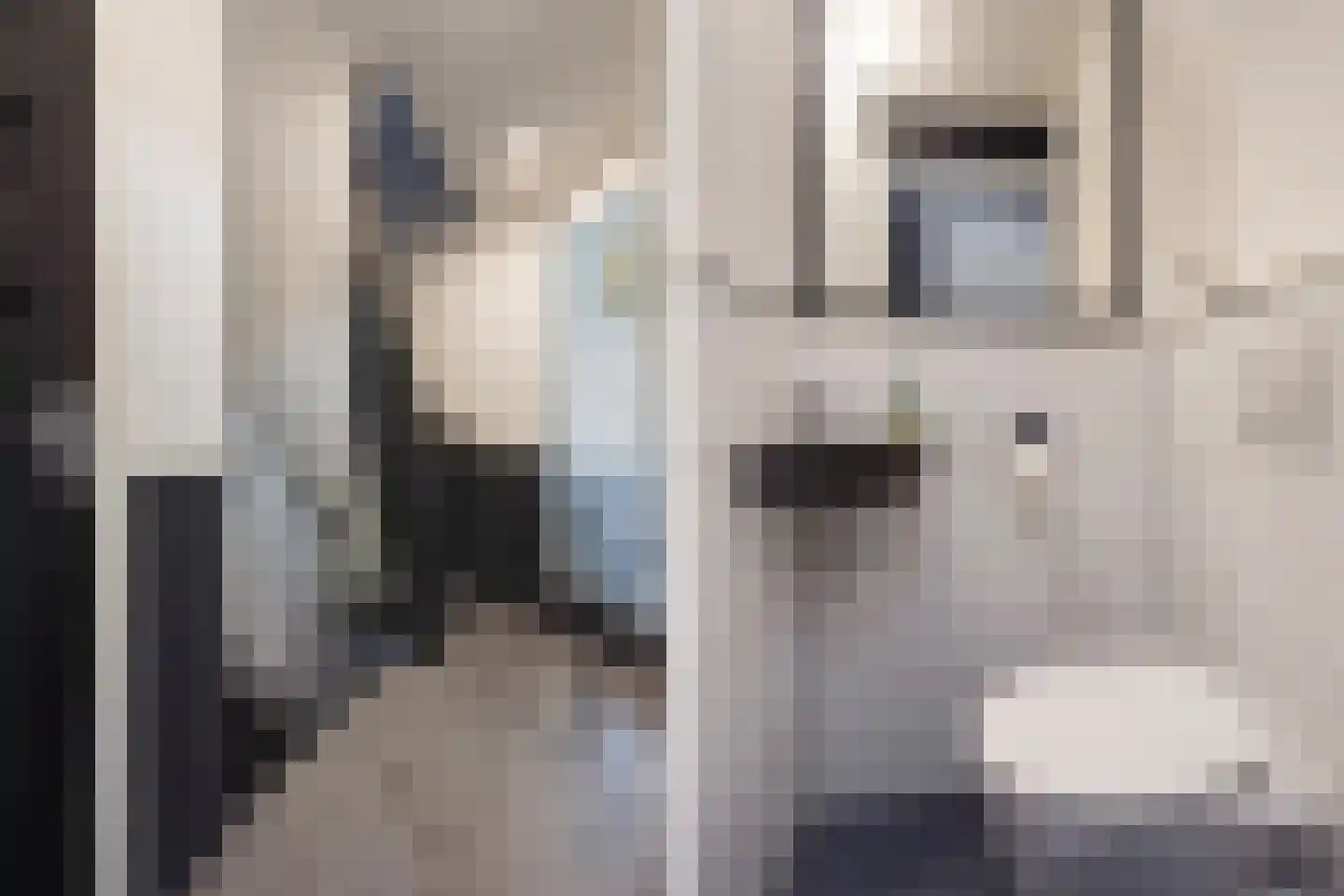 Johan Gramstraat 7 Den Haag thumbnail 11