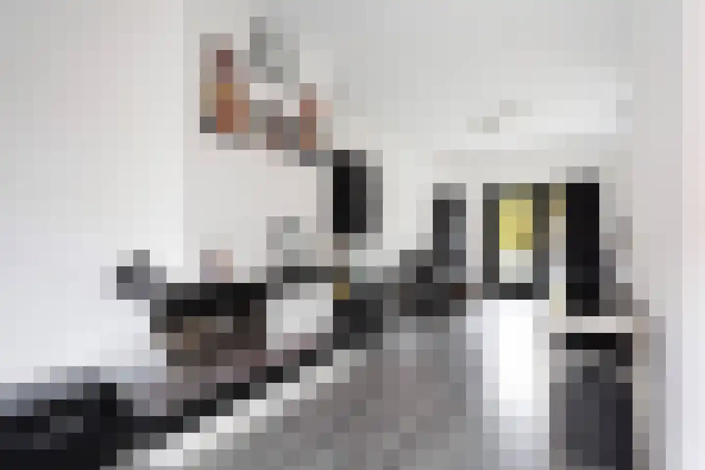 Johan Gramstraat 7 Den Haag thumbnail 15