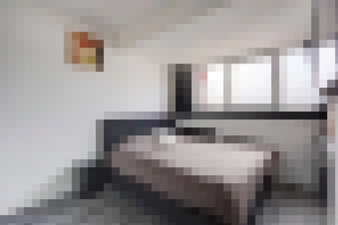 Johan Gramstraat 7 Den Haag thumbnail 25