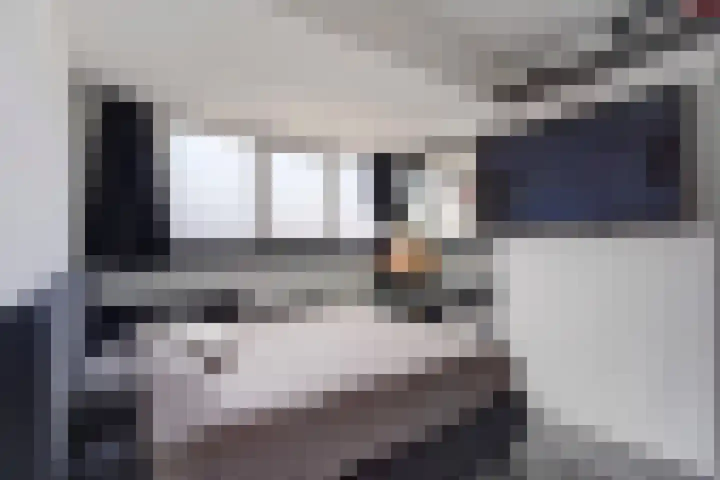 Johan Gramstraat 7 Den Haag thumbnail 5
