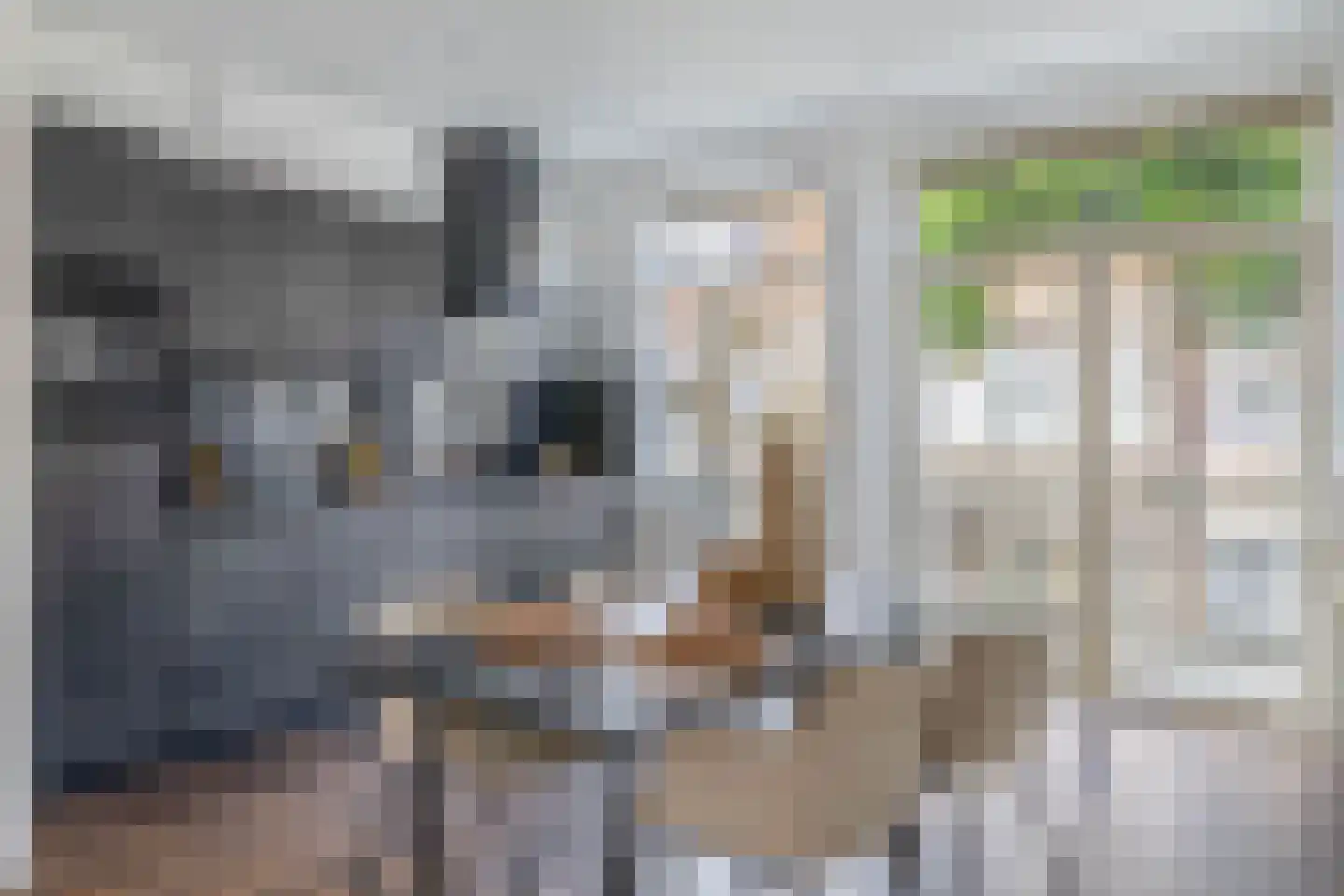 Johan Gramstraat 87 Den Haag thumbnail 16