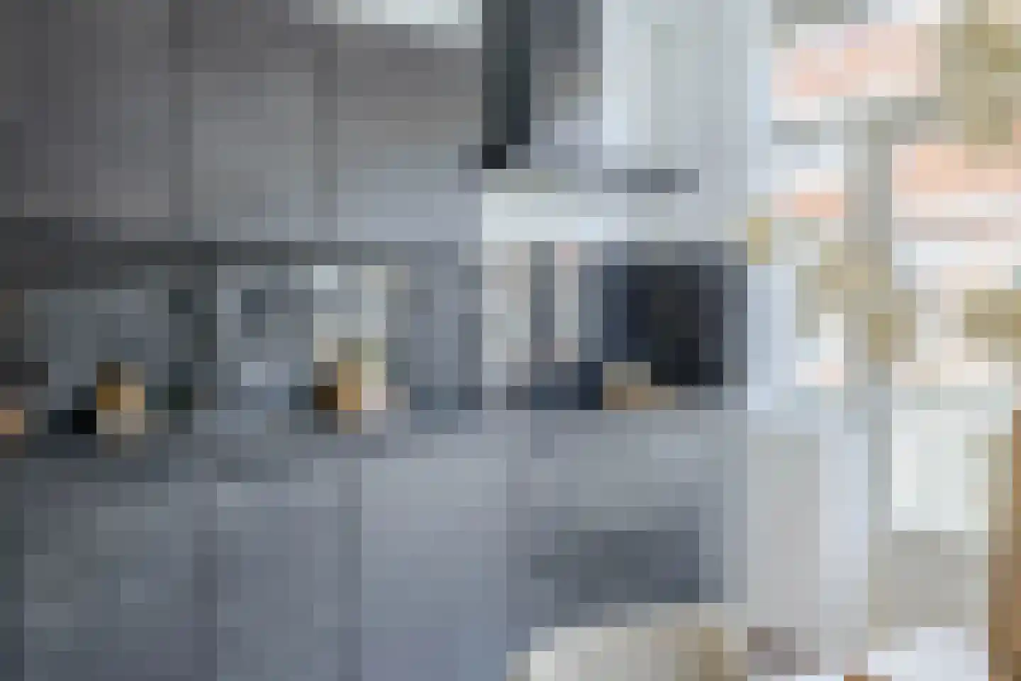 Johan Gramstraat 87 Den Haag thumbnail 17