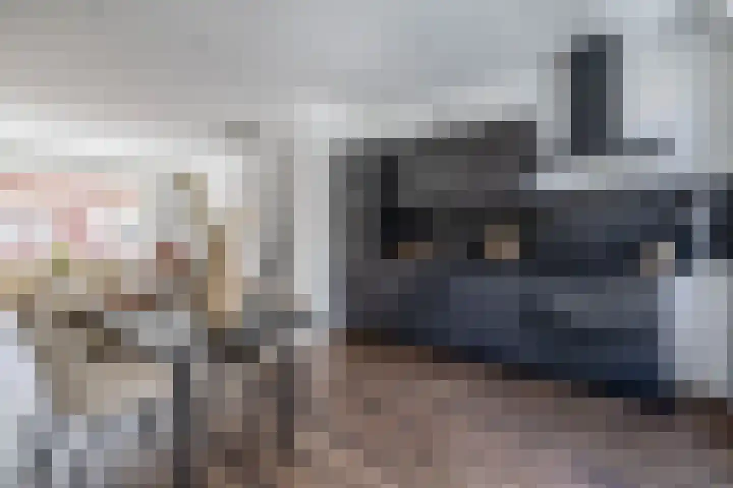 Johan Gramstraat 87 Den Haag thumbnail 22