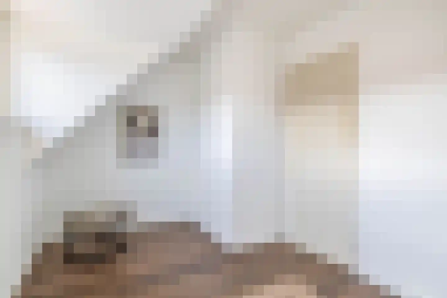 Johan Gramstraat 87 Den Haag thumbnail 29