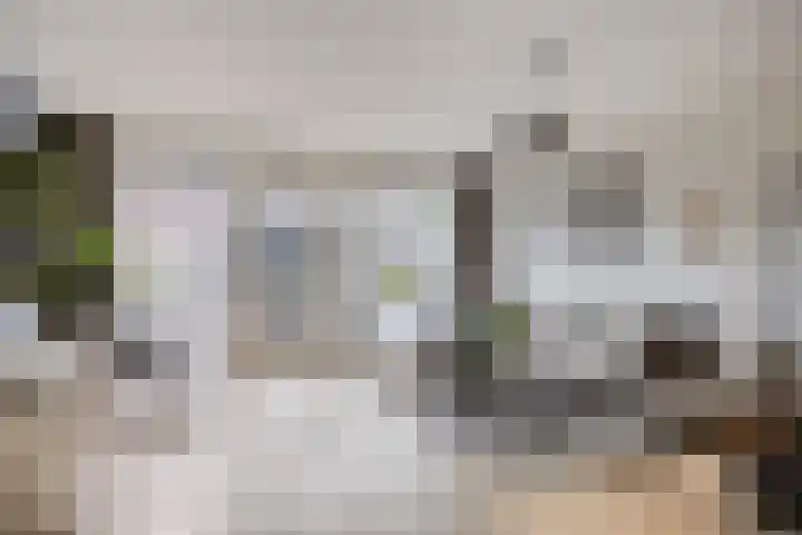 Johan Grauwertlaan 1 Maarssen thumbnail 11