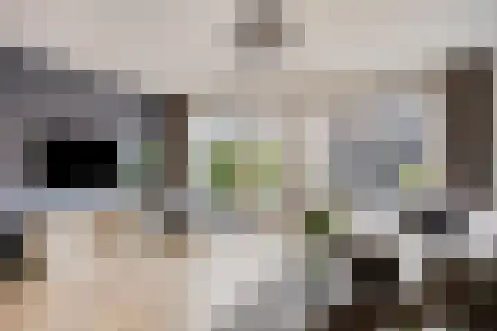 Johan Grauwertlaan 1 Maarssen thumbnail 12