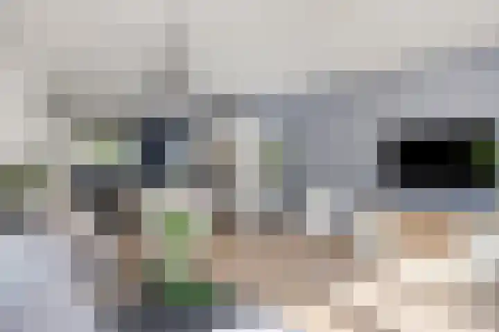 Johan Grauwertlaan 1 Maarssen thumbnail 16