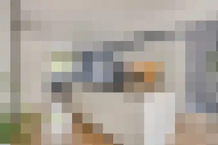 Johan Grauwertlaan 1 Maarssen thumbnail 17