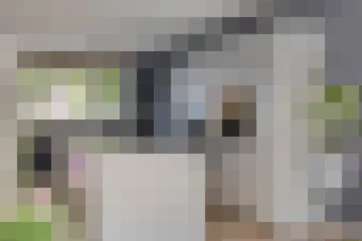 Johan Grauwertlaan 1 Maarssen thumbnail 18