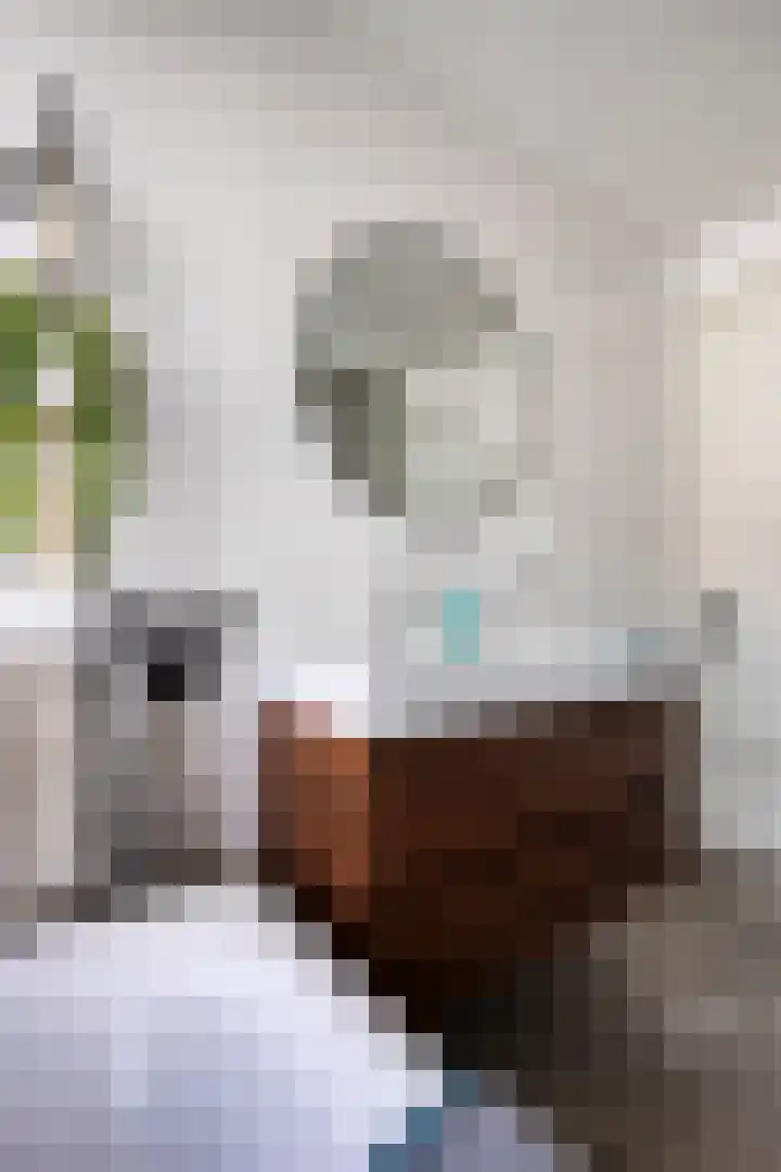 Johan Grauwertlaan 1 Maarssen thumbnail 35