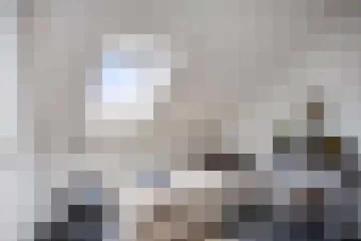Johan Grauwertlaan 1 Maarssen thumbnail 42