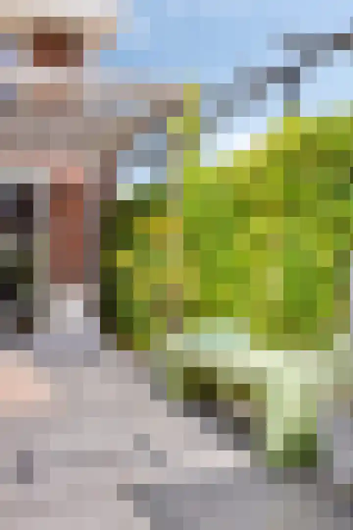 Johan Grauwertlaan 1 Maarssen thumbnail 45
