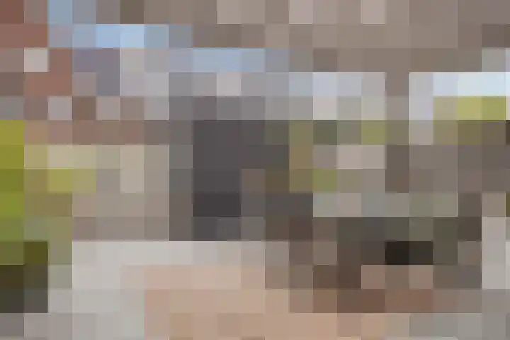 Johan Grauwertlaan 1 Maarssen thumbnail 46