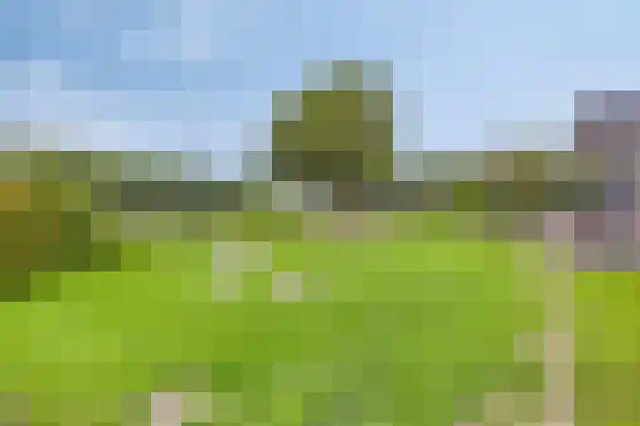Johan Grauwertlaan 1 Maarssen thumbnail 49