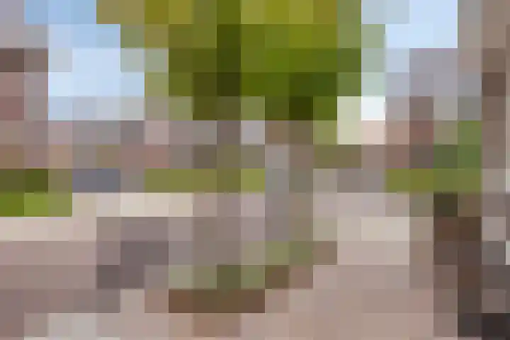 Johan Grauwertlaan 1 Maarssen thumbnail 5