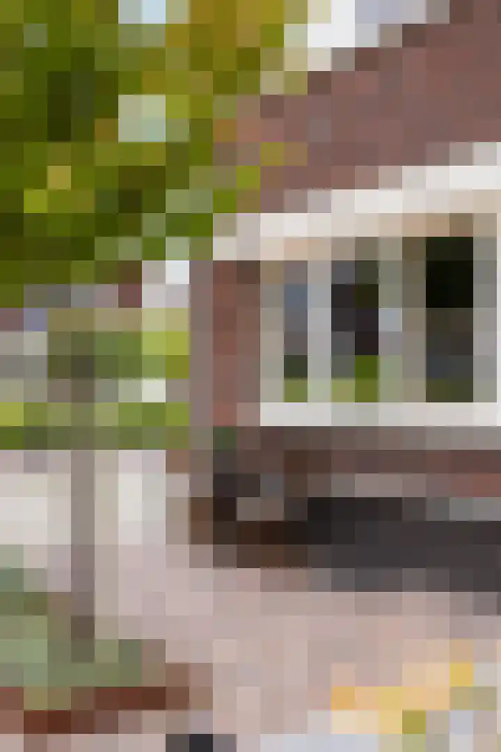Johan Grauwertlaan 1 Maarssen thumbnail 6
