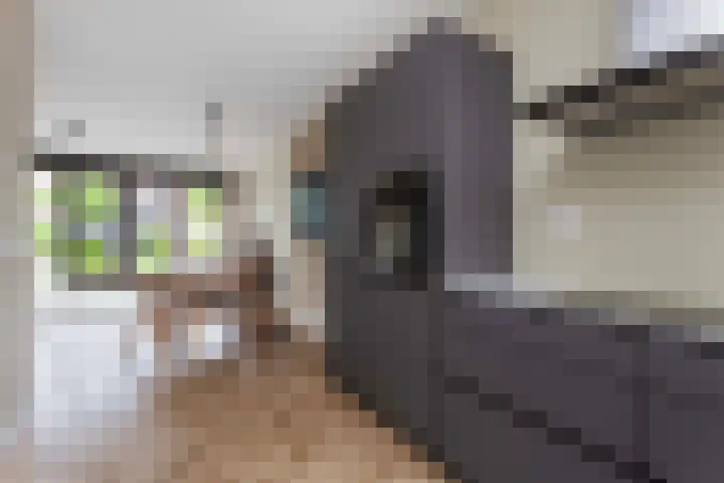 Johan Grauwertlaan 2 Maarssen thumbnail 10