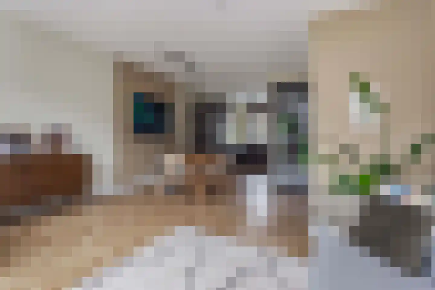 Johan Grauwertlaan 2 Maarssen thumbnail 16