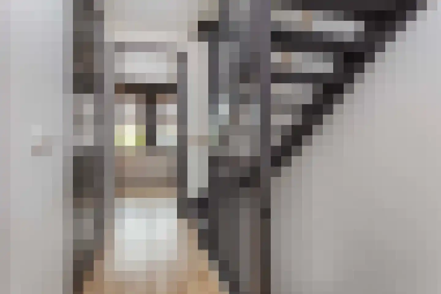 Johan Grauwertlaan 2 Maarssen thumbnail 18