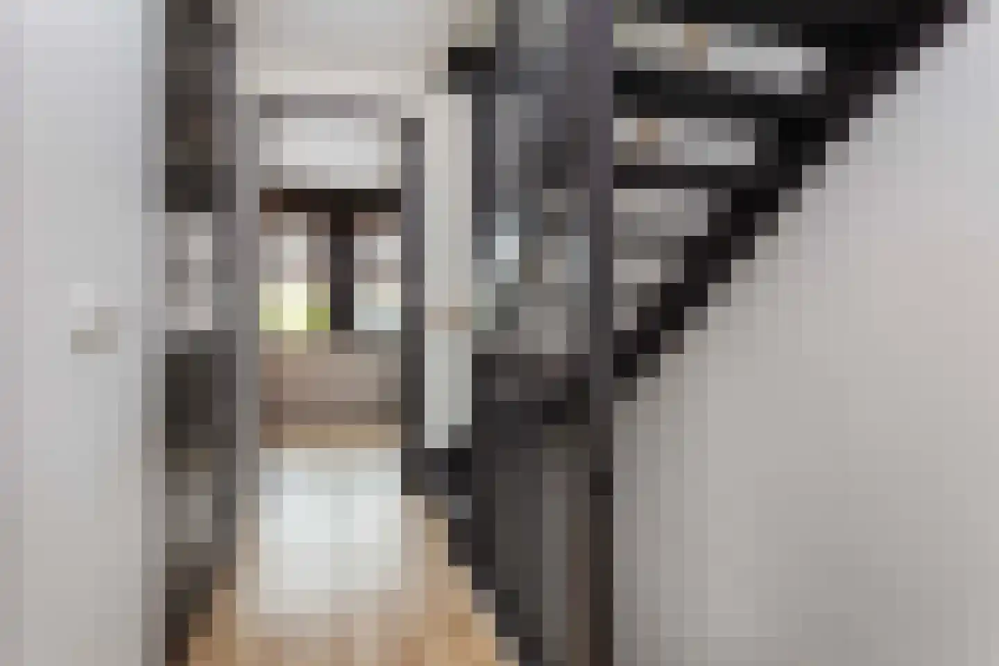 Johan Grauwertlaan 2 Maarssen thumbnail 18