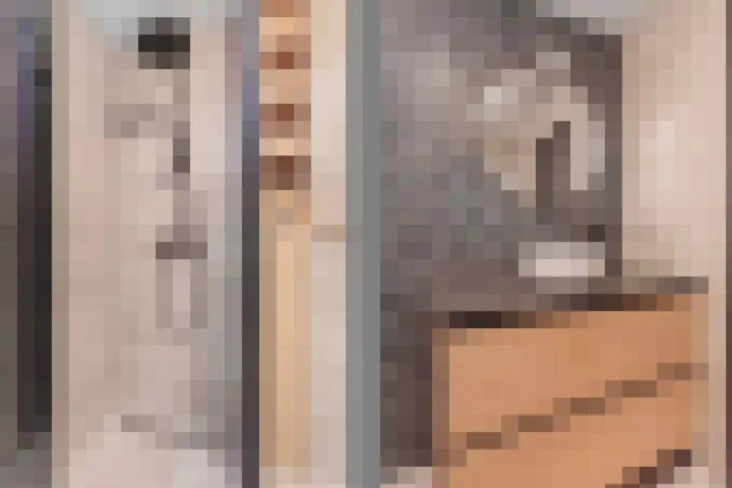 Johan Grauwertlaan 2 Maarssen thumbnail 28