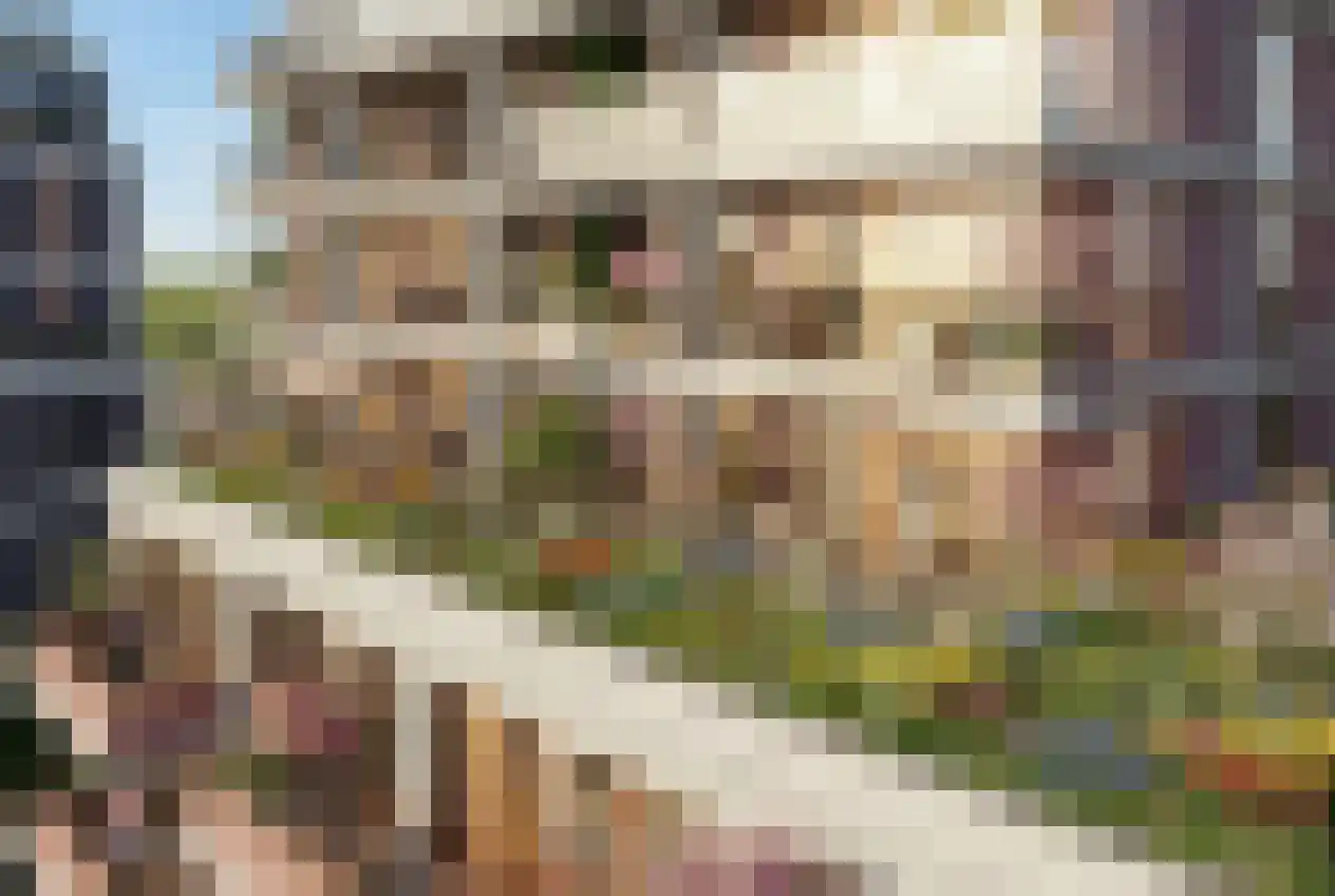 Johan Greivestraat 22 Amsterdam thumbnail 8
