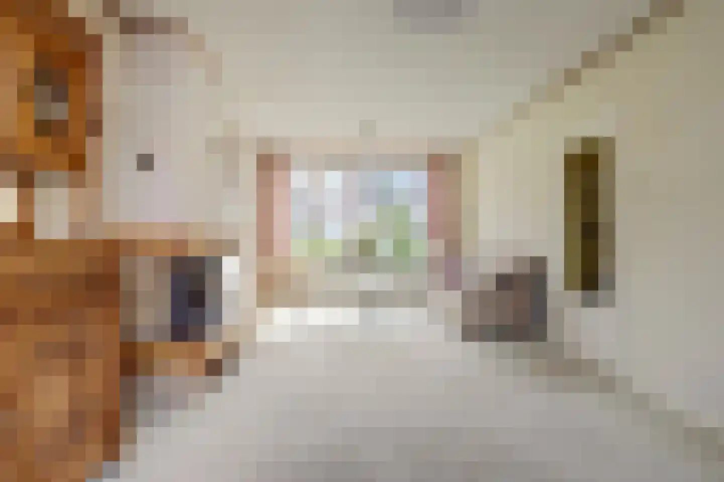 Johan Hendrik van Kinsbergenstraat 18 De Lier thumbnail 11