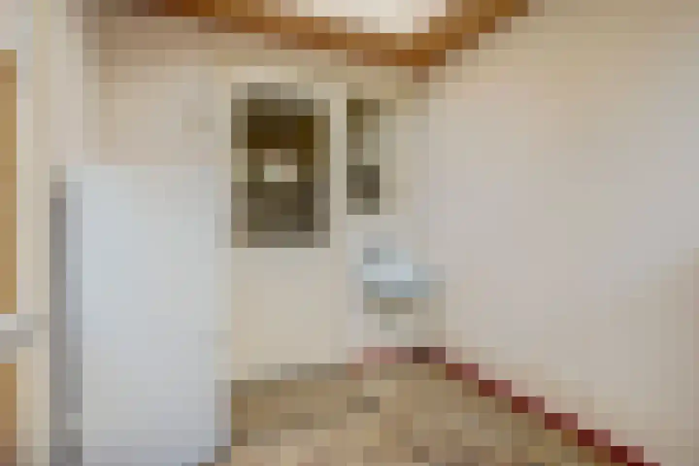 Johan Hendrik van Kinsbergenstraat 18 De Lier thumbnail 13