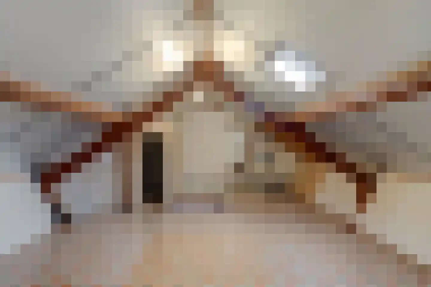 Johan Hendrik van Kinsbergenstraat 18 De Lier thumbnail 25
