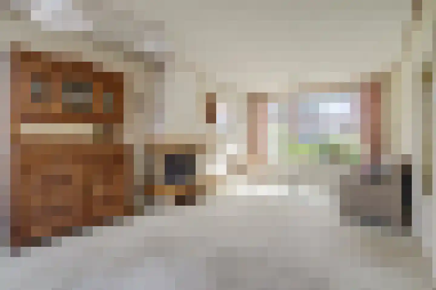 Johan Hendrik van Kinsbergenstraat 18 De Lier thumbnail 5
