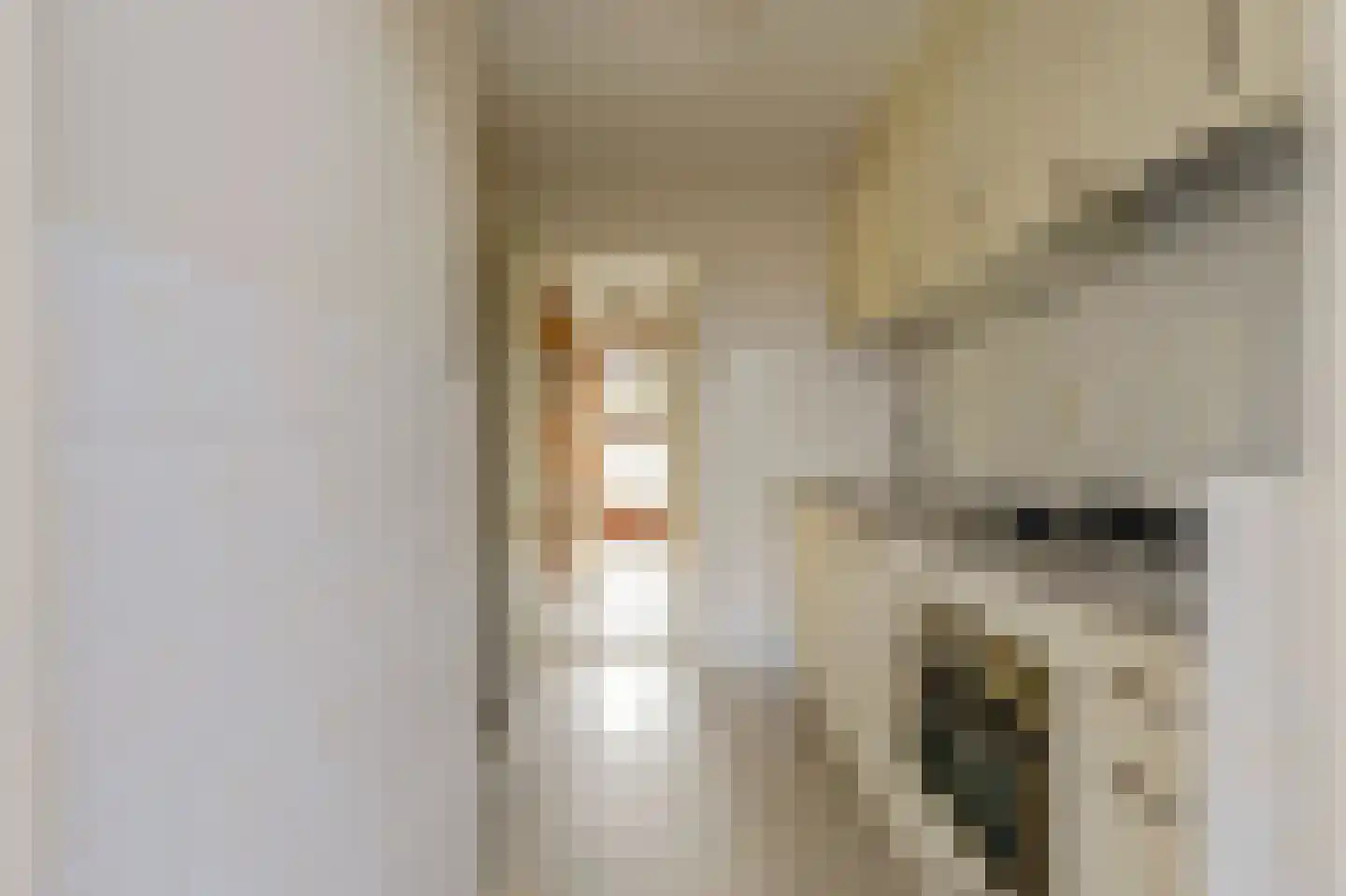 Johan Hendrik van Kinsbergenstraat 18 De Lier thumbnail 7