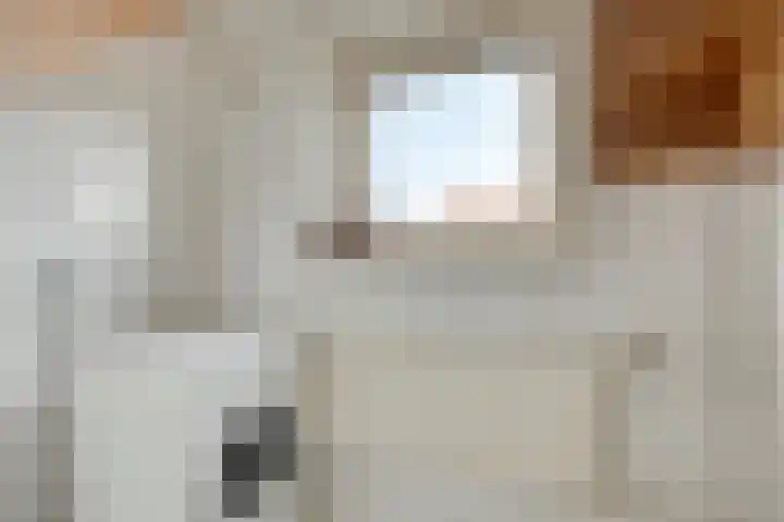 Johan Hendrik van Kinsbergenstraat 6 De Lier thumbnail 13