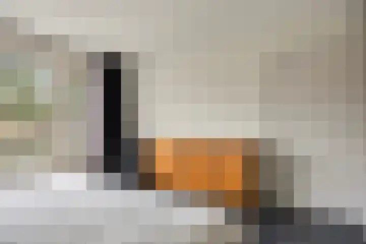 Johan Hendrik van Kinsbergenstraat 6 De Lier thumbnail 15