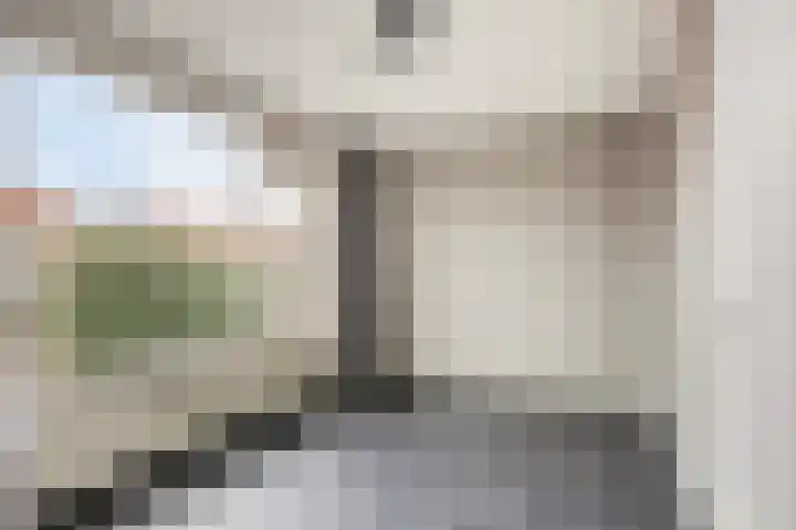 Johan Hendrik van Kinsbergenstraat 6 De Lier thumbnail 16