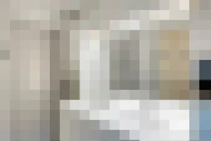 Johan Hendrik van Kinsbergenstraat 6 De Lier thumbnail 20